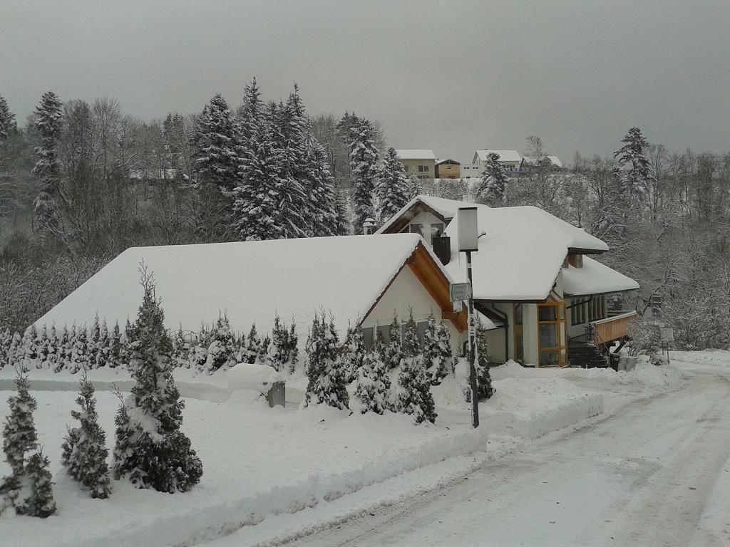 Dzt-Schwarzwaldhotel Garni Unterkirnach Екстериор снимка